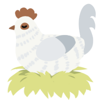 A white and mist chicken with a bar pattern