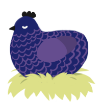 done, a navy and overcast chicken with a lace pattern