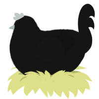 Leggy Void, a black chicken with a lace pattern