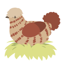 A beige and russet chicken with a bar pattern