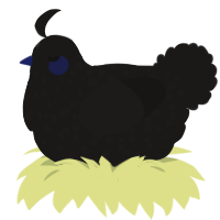A sable chicken with a speckle pattern