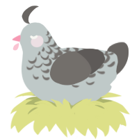 Pigeon, a silver and grey chicken with a half-lace pattern