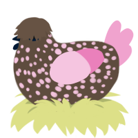 CB, a bark and pink chicken with a speckle pattern