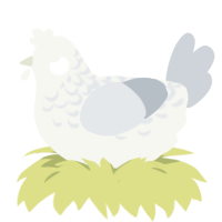 A white and mist chicken with a half-lace pattern