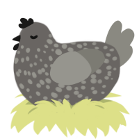 pebble, a grey and ash chicken with a speckle pattern