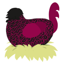 A sable and maroon chicken with a double-lace pattern