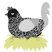The Web, a sable and silver chicken with a double-lace pattern