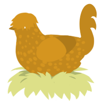 Go for Brochre, a ochre chicken with a speckle pattern