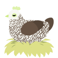 Ashen, a white and bark chicken with a double-lace pattern