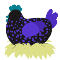 VOID, a sable and indigo chicken with a speckle pattern