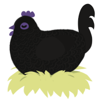 The Believer, a black and sable chicken with a double-lace pattern