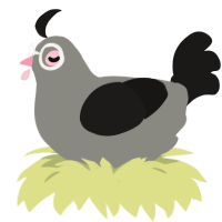 Chicken, a ash and sable chicken