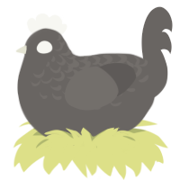 Partial Pure, a grey chicken with a half-lace pattern