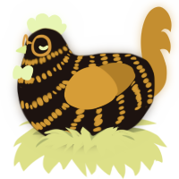 Honey Mustard, a sable and ochre chicken with a bar pattern