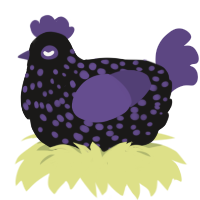 Pek, a sable and overcast chicken with a speckle pattern