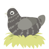 (unnamed), a grey and ash chicken with a bar pattern