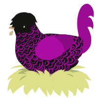 A black and plum chicken with a double-lace pattern