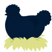 True Blue Tumblr, a tumblr chicken with a lace pattern