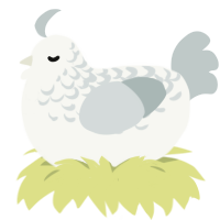 Puffeom, a white and silver chicken with a half-lace pattern