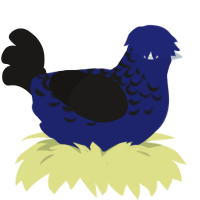 Spy, a navy and sable chicken with a half-lace pattern