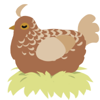 SaltedCarmelCocoa, a brown and beige chicken with a half-lace pattern
