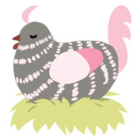 A ash and rose chicken with a bar pattern