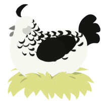 (unnamed), a white and black chicken with a half-lace pattern