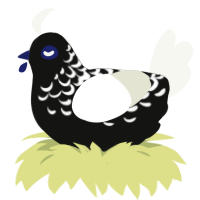 (unnamed), a black and white chicken with a half-lace pattern