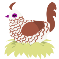 A white and russet chicken with a lace pattern