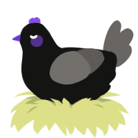A black and grey chicken