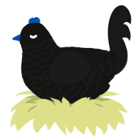 (unnamed), a black and sable chicken with a lace pattern