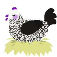 Eepies, a white and sable chicken with a double-lace pattern
