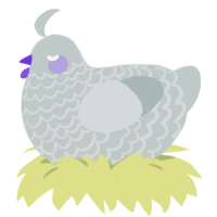 A silver chicken with a lace pattern