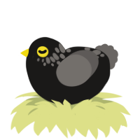 A sable and grey chicken with a neck-speckle pattern