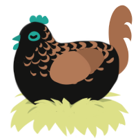(unnamed), a black and brown chicken with a half-lace pattern