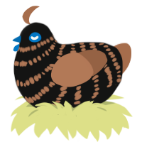 (unnamed), a black and brown chicken with a bar pattern