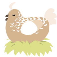 Almond, a beige and cream chicken with a half-lace pattern