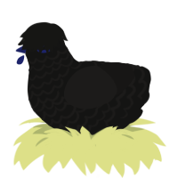 A black and sable chicken with a lace pattern