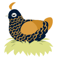 (unnamed), a tumblr and orange chicken with a lace pattern
