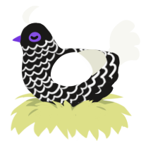 A sable and white chicken with a lace pattern