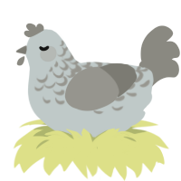 Happily Ever After, a silver and ash chicken with a half-lace pattern