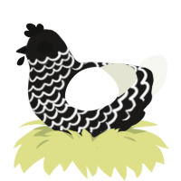 Hellebore, a sable and white chicken with a lace pattern