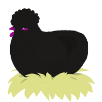 A sable chicken with a lace pattern