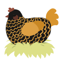 (unnamed), a sable and orange chicken with a lace pattern