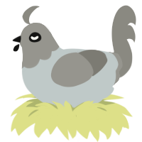 A silver and ash chicken with a head pattern
