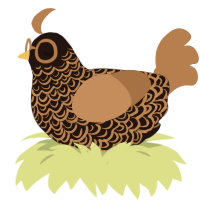 Mudblock, a sable and brown chicken with a double-lace pattern