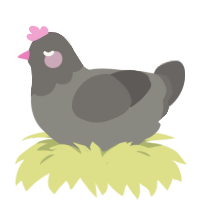 A ash and grey chicken with a head pattern