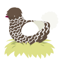 A bark and white chicken with a lace pattern