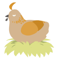 Cheese Knife, a beige and orange chicken with a neck-speckle pattern