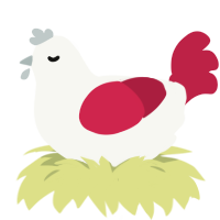 Rubi, a white and crimson chicken